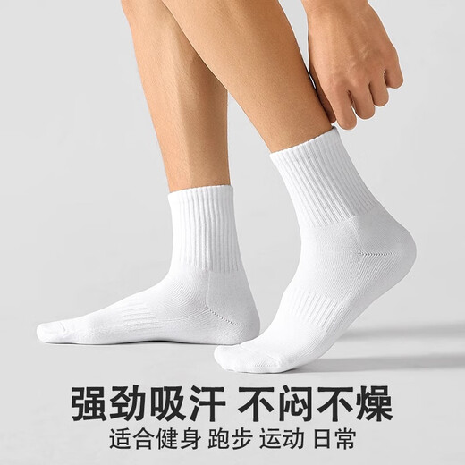 Shupao Socks Men's Spring and Summer Thickened Towel Bottom Mid-Tube Socks Sports and Leisure Black and White Solid Color Socks Breathable and Comfortable 4 White Thickened Towel Bottom One Size _(39-45.5)
