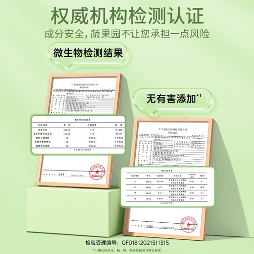 Vegetable Garden Tea Scented Bubble Hand Sanitizer Foam Hand Sanitizer Moisturizing Cleansing Hand Sanitizer Universal for children and adults Taste Pack Tea Scented Bubble Hand Sanitizer 300ml