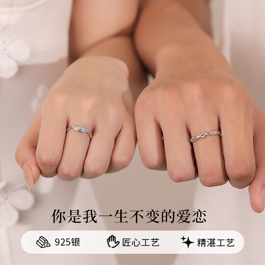 Chinese Jewelry Eucalyptus and Bird Couple Ring Men and Women One Sterling Silver Proposal Ring Confession Birthday Anniversary Gift for Girlfriend