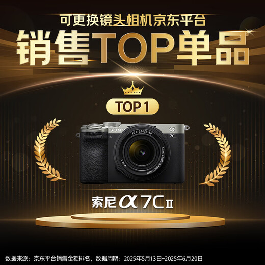 Sony (SONY) Alpha 7C II full-frame mirrorless camera, creative appearance filter, black, single body (a7c2/A7C II/A7CM2)