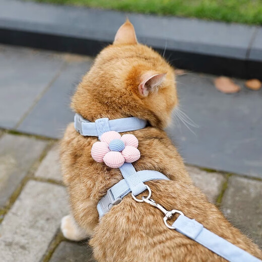 Flower traction rope, cat traction rope, anti-breakaway, cat traction rope, cat rope, cat traction, adjustable when going out, I-shaped flower, blue, S size, recommended 2.5-8Jin Jin equals 0.5kg