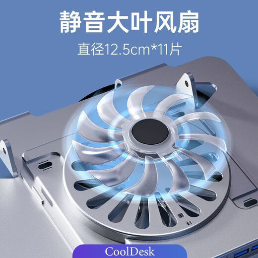 Boulet de refroidissement de l'ordinateur portable Dewei Lion Aluminium ALLIAGE ALLIAGE CAPPORTOPPORTOPPORT TOPPORT 16 pouces 14 CELaire silencieuse Dock USB Integrated Adjustable N693 Fan + expansion USB à 4 ports [Utilisation interne de 17 pouces]