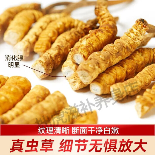 Beijing Tongrentang Quality Tibet Direct Faquenna Cordyceps High-altitude Cordyceps Warm Dry Goods 100g Gift Box 5g Canned