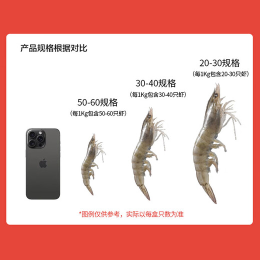 Fresh Jingcai imported 30/40 Ecuadorian white shrimp, ice-free net weight 3.3Jin Jin equal to 0.5kg, 50-66 pieces/box, shipped directly from the source