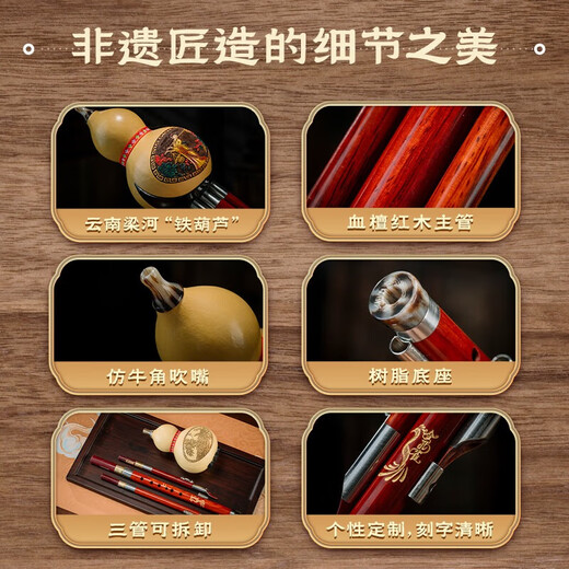 Golden Peacock Hulu Silk C-Tune Special B-Tune für Grundschüler für Anfänger und Erwachsene Aufnahme professioneller Performance Brand-Flaggschiff-Laden Redwood Pipe Double Peacock [Standard C-Tune] + Geschenk