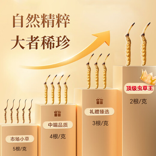雷允上冬虫夏草4根/g 约10g约40根 滋补养生礼品补品送长辈礼物