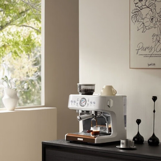 Petrus PE3899 Volles semi-automatischer Kaffeemaschine Milchschaum-Maschine Doppelgriff Haushalte kleine italienische Schleifmaschine