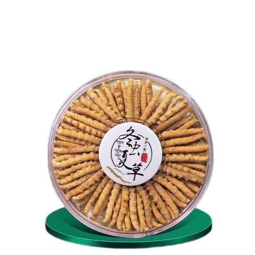 Cordyceps sinensis cordyceps sinensis tibetanische schneebedeckte cordyceps 2 Gramm Trockenwaren Cordyceps Geschenk 60 gute Produkte 60 Geschenkboxen [Spezifikationen 3 Gramm 1 Gramm]