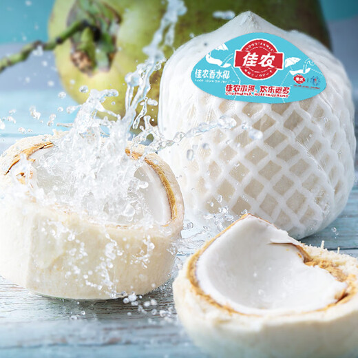 Goodnon Thailand imported green coconut 6 pieces large fruit single fruit 900g + free coconut opener fresh fruit straight from the source