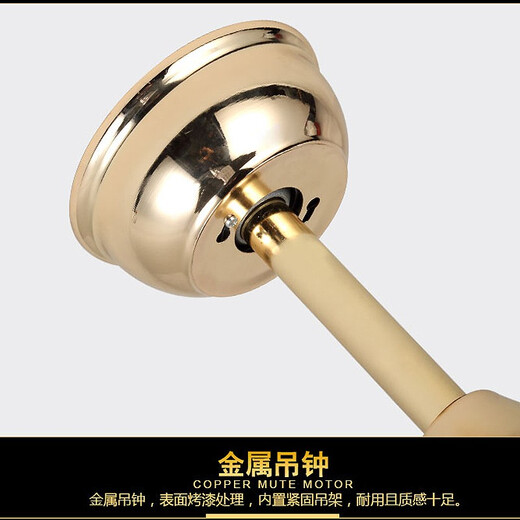 
Bronze Age Invisible Ceiling Fan Light Fan Light Living Room Dining Household Simple Modern Fan Chandelier with Fan Lighting 9923
