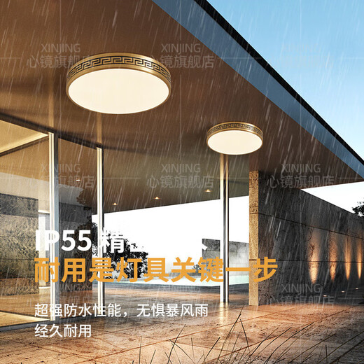 心镜全铜户外吸顶灯别墅大门口灯中式阳台玄关过道防蚊虫进门入户灯 X3891-500/方形