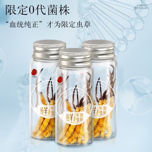 Tongrentang Brand Beijing Tongrentang Fresh Cordyceps Cordyceps Fresh Cordyceps Boîte cadeau Unbreakable Grass Cadeaux aux anciens 1 boîte 81G 3A Cordyceps frais 100 0,8-1g / pièce / pièce