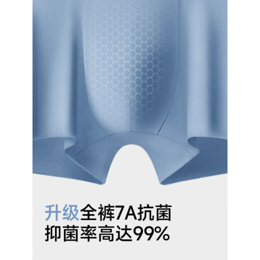 七匹狼（SEPTWOLVES）男士内裤男生冰丝莫代尔新款夏季凉感高档平角男款四角短裤高端 男士甄选礼盒【80支莫代尔】3895 L (腰围2.1-2.2尺 100-120斤)