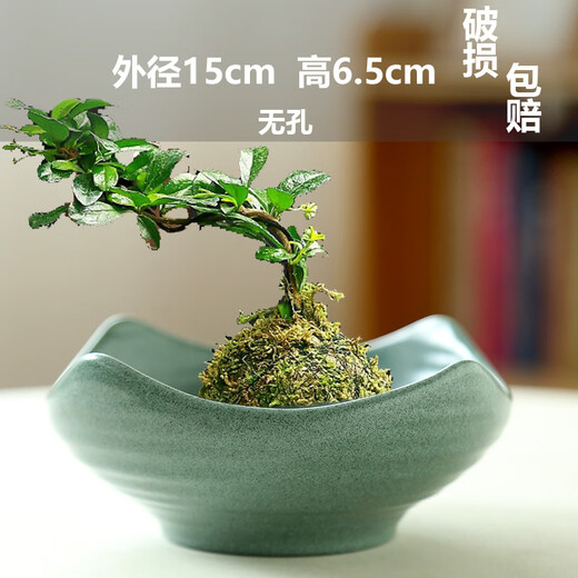 
Wholesale non-porous rice and bamboo hydroponic flower pot ceramic petal moss ball flower pot Jianshan green plant calamus Brazil wood bonsai TX small flat mouth JW1098 gray sand ceramic medium