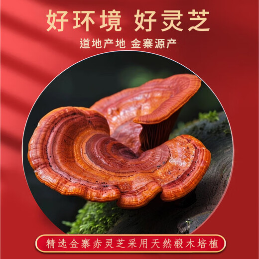 鹤粉世家灵芝孢子油软胶囊90粒*2瓶/盒 蓝帽认证增强免疫力精华萃取 1盒 72g