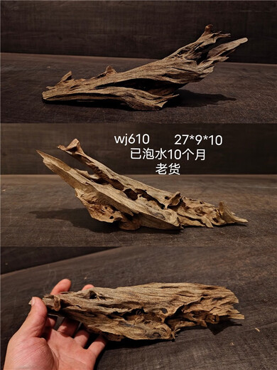 麦子马来流木 微精 小型沉木鱼缸造景摆件南美风格原生爬宠树根 浅灰色 1047