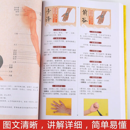 正版中医推拿按摩书 全2册 彩图版 零基础学会推拿按摩书籍手法 图解经络穴位+对症按摩大百科