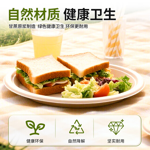Jieribang disposable sugarcane pulp dinner plates 9 inches 20 pieces food grade thickened waterproof and oil-proof biodegradable paper plates