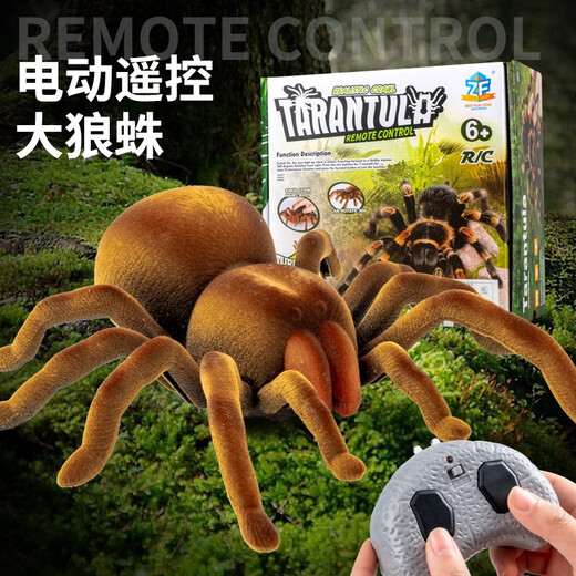 大号蜘蛛爆款网红同款玩具男孩动物整蛊解压小女孩创意电动黑科技 经典版遥控蜈蚣黄黑款9901螺丝刀 3个电子 官方标配