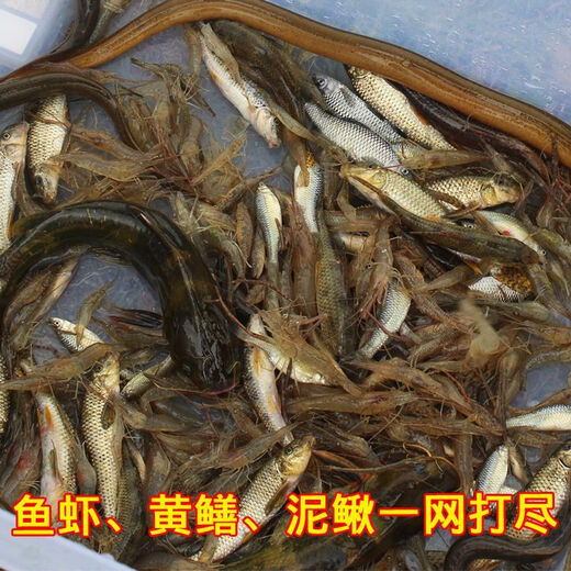 Garnelen -Käfig -Fisch -Käfig -Garnelennetz -Netto -Netto -Netto -Regenschirm -Käfig -Hummer -Netto -verdickte und verschlüsselt