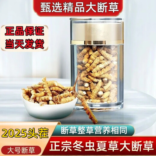 正品虫草冬虫夏草大断草高海拔断虫草2025头茬新自用大号断虫草 那曲高海拔断虫草20克装