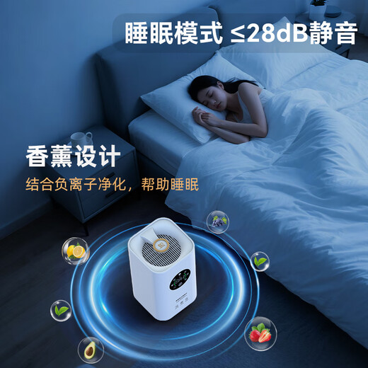 Feili ozone generator, home car sterilization, formaldehyde removal, farm deodorization, ammonia gas, industrial food factory air disinfection machine FL-T6 (indoor)