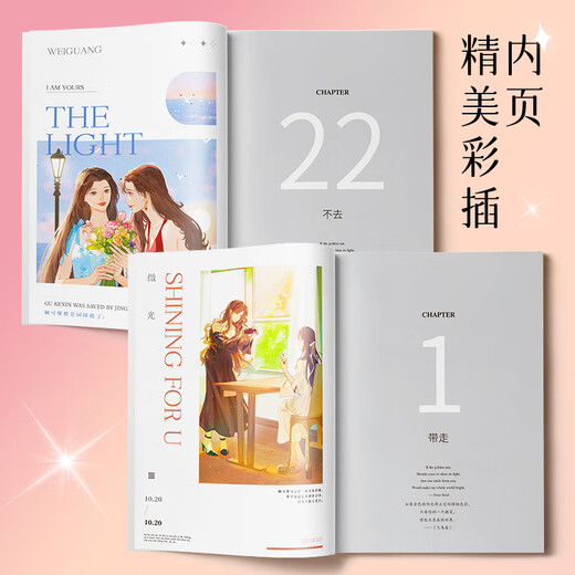 
Identify the authentic Weirlight Finale (2 volumes) [screen printing plate + custom postcard + stamp sticker] SN9847