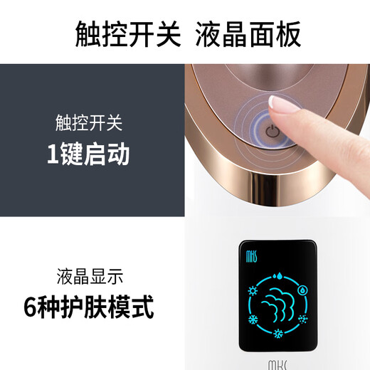 Xulin Germany high-end hot and cold dual spray facial steamer for household facial hydration and beauty instrument nano sprayer facial humidifier hot spray nano facial steamer to hydrate and open pores NV8385 rose gold