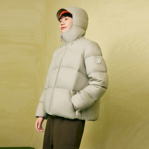 雪中飞2025新款男士短款户外高充绒连帽羽绒服潮流面包加厚舒适外套 天冰绿|4867 XL /175/96A