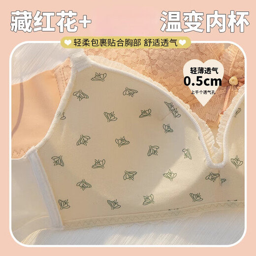 维多利亚的格调法式甜美内衣裤女无钢圈薄款大胸显小不空杯少女风聚拢性感文胸罩 绿色 套装 75B 34