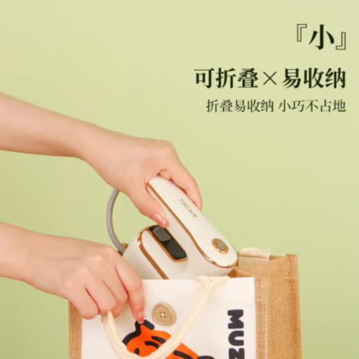 RASW德国手持挂烫机家用小型便携式蒸汽熨斗烫衣服熨烫机宿舍旅行神器 高配款【陶瓷面板】熨烫效果好