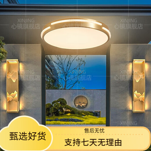 心镜全铜吸顶灯走廊过道专用超薄阳台灯户外防水别墅防蚊虫入户门前灯 X3890-310