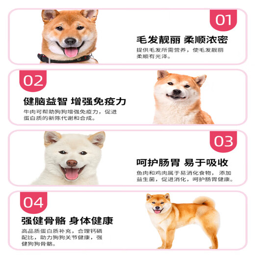 OIMG Shiba Inu special dog food for puppies and adults 1-2-3-12 months calcium supplement 5kg10Jin Jin equals 0.5kg Packed Shiba Inu puppy special 10Jin Jin equals 0.5kg 5kg