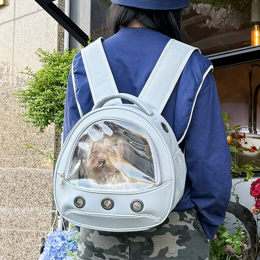 OIMG Yorkshire puppy outdoor carrying bag small pet outdoor backpack transparent folding high-looking cat school bag gray (Yorkshire/small pet) 32-23-31CM (small space, suitable for small pets