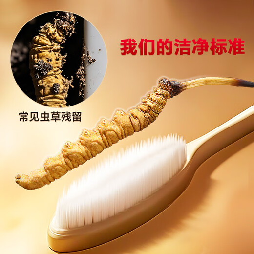 雷允上冬虫夏草4根/g 约10g约40根 滋补养生礼品补品送长辈礼物