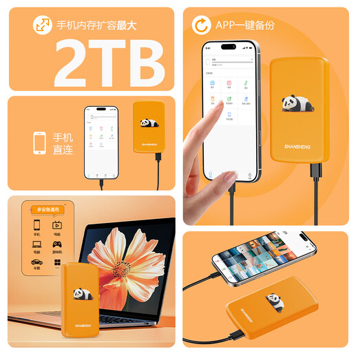 Flash 2T Mobile Festplatte 1 TB Apple 15/16 Mobiltelefon Direct Connect Mobile Festplatte 500 G Android Tablet Ein-Klick-Sicherung von Fotos und Videos 320 G Nicht-SSD 250 G P6 Smartphone Mobile Festplatte 250 GB