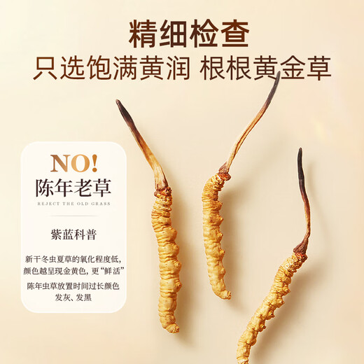 
Purple and blue flower sea Cordyceps sinensis 3 roots/g 10g new dried Cordyceps gift box in high-quality tonics [Healthy Gift Box]
