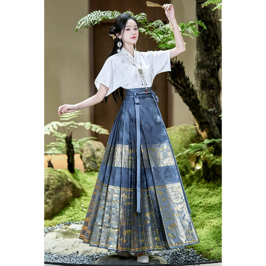 
True new Chinese style woven gold horse-faced skirt summer 2025 new suit small person improved Hanfu women's daily wearable 12187 blue petticoat skirt M