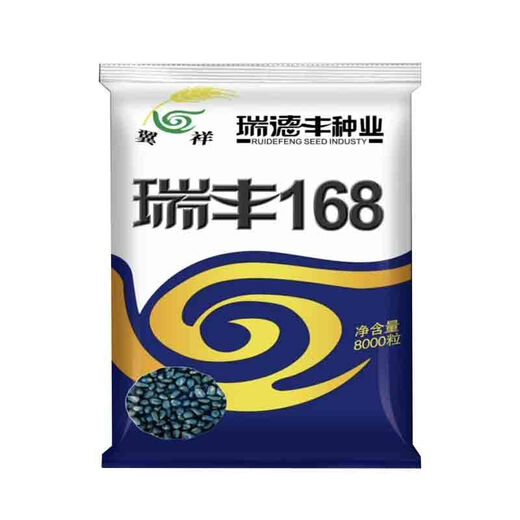 Original Ruifeng 168 corn seeds, stable yield, drought-tolerant, deep grain, capped, no bald tip, strong resistance, Ruifeng 168, 8000 grains in a bag