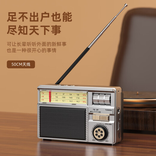 Dili Radio for the Elderly Rechargeable Solar Plug-in Card Bluetooth Mini Speaker for the Elderly 2025 New Portable Full-band FM Parents Birthday Gift Silver Gray Solar/Plug-in Card/U Disk/Bluetooth