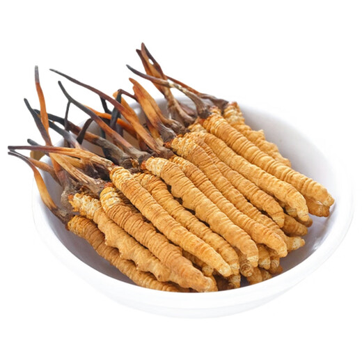 Cordyceps Dried Goods Authentic Cordyceps Gift Box Cordyceps Wangxiong Fengdao Nourishing and Healthy Cordyceps Three Roots One Gram 100 Roots Boxed