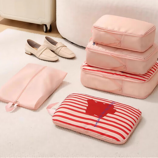 Fan Ye's Family Puppy Puppy Travel Rangement Sac de rangement quatre pièces Sac de sous-vêtements Sac de compression de bagages