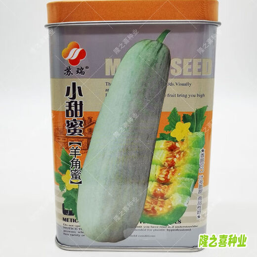 Japanese Sweet Treasure, high sugar melon seeds, spring and summer early maturing, high yield, super sweet melon seeds, Sweet Sweet Treasure, canned 20g