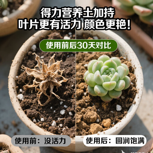 Deli nutrient soil 3L universal organic vegetable soil and flower soil gardening green plant flowers potted potting matrix soil