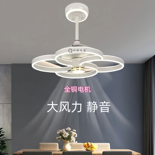 欧普2025年新款隐形吊扇灯大风力家用餐厅饭厅卧室电风扇一体吊灯静音 隐形款9227/黑60CM变频遥控+直接