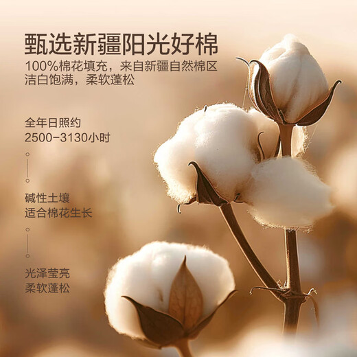 MUJI Class A cotton three-piece dormitory set suitable for 0.9/1.2m bed quilt cover 150*200cm Happy Bear