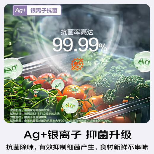 Panasonic Renewal Subsidy New Product