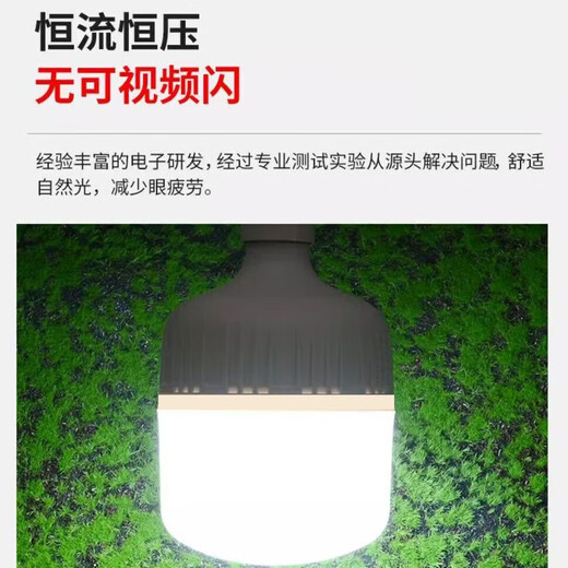 Whale and Light LED energy-saving light bulb with plug household plug-in e27 socket lamp with switch wire super bright hanging small wall lamp 4 meters wire