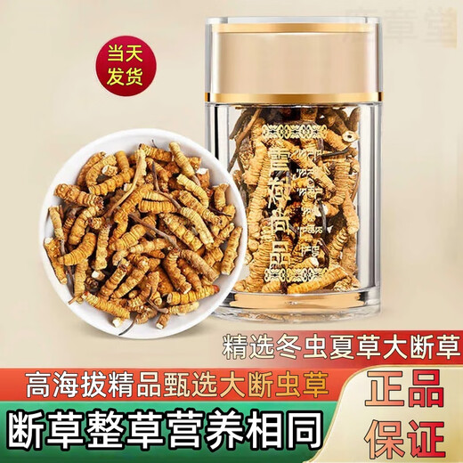 正品虫草冬虫夏草大断草高海拔断虫草2025头茬新自用大号断虫草 那曲高海拔断虫草20克装