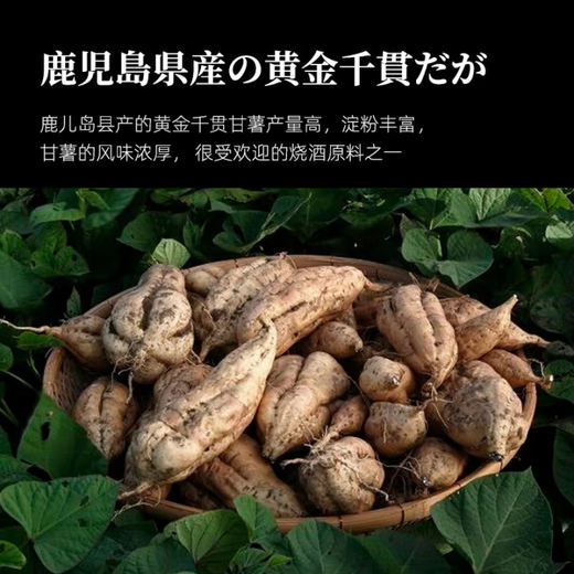 赤兔马本格烧酒 蒸馏酒 世界双金奖烧酒 日本原瓶进口洋酒 日料芋烧酒 本格芋烧酒1.8L【红】